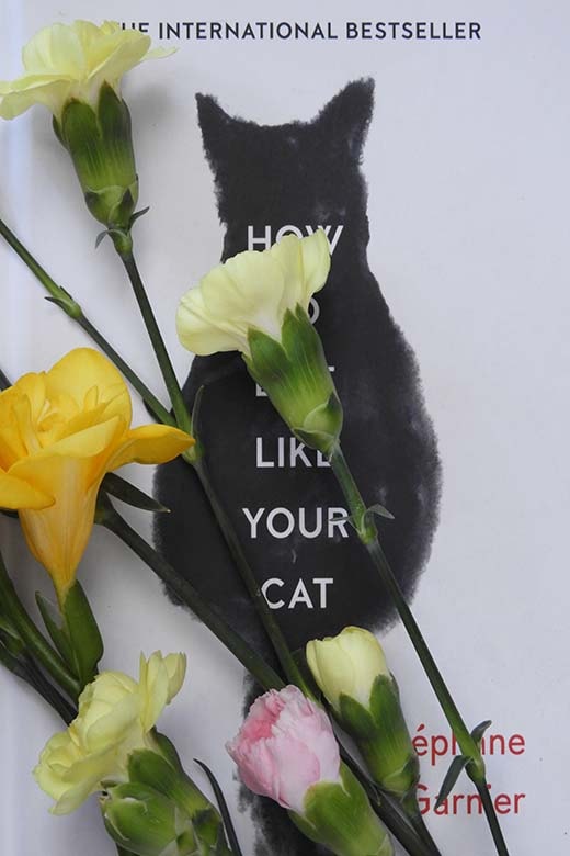 How to live like your cat by Stephane Garnier - reviews| meowpassion