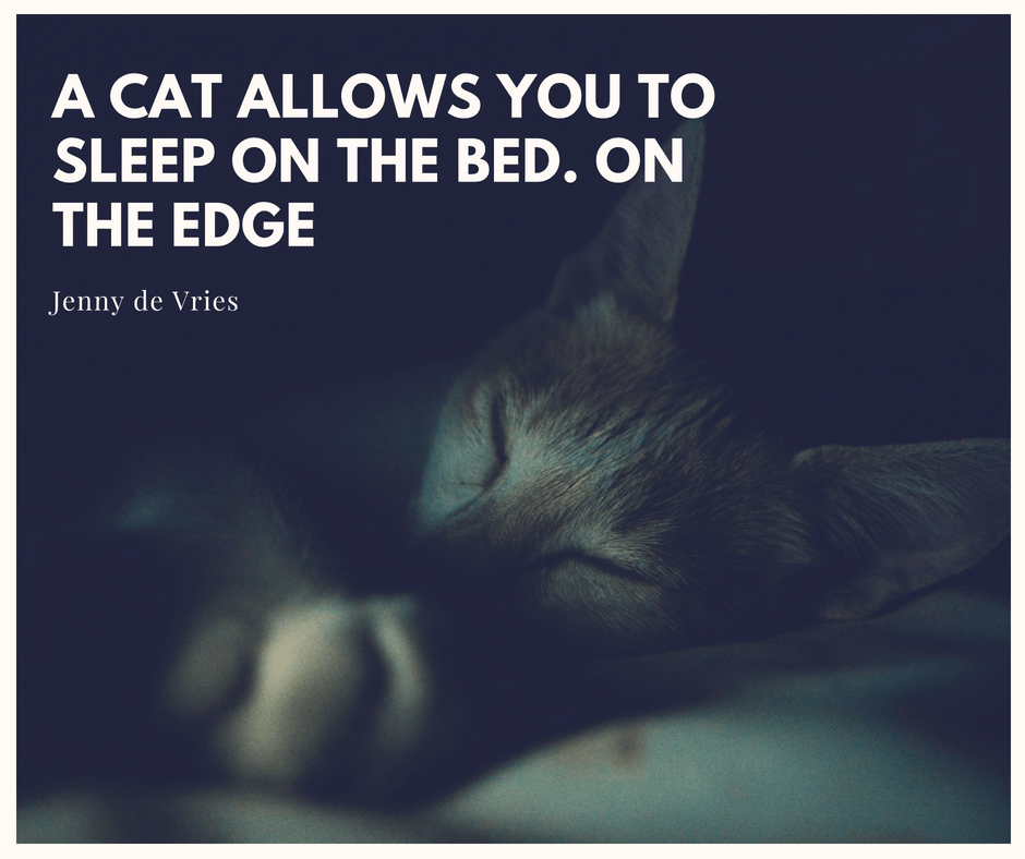 Qoute of Jenny de Vries about cats and sleep