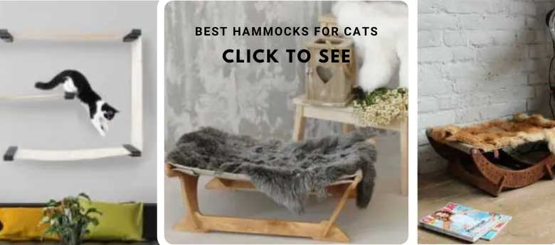 Wooden, high quality sleeping beds for cats