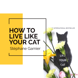 Buy an amazing book as a gift for cat lovers on amazon