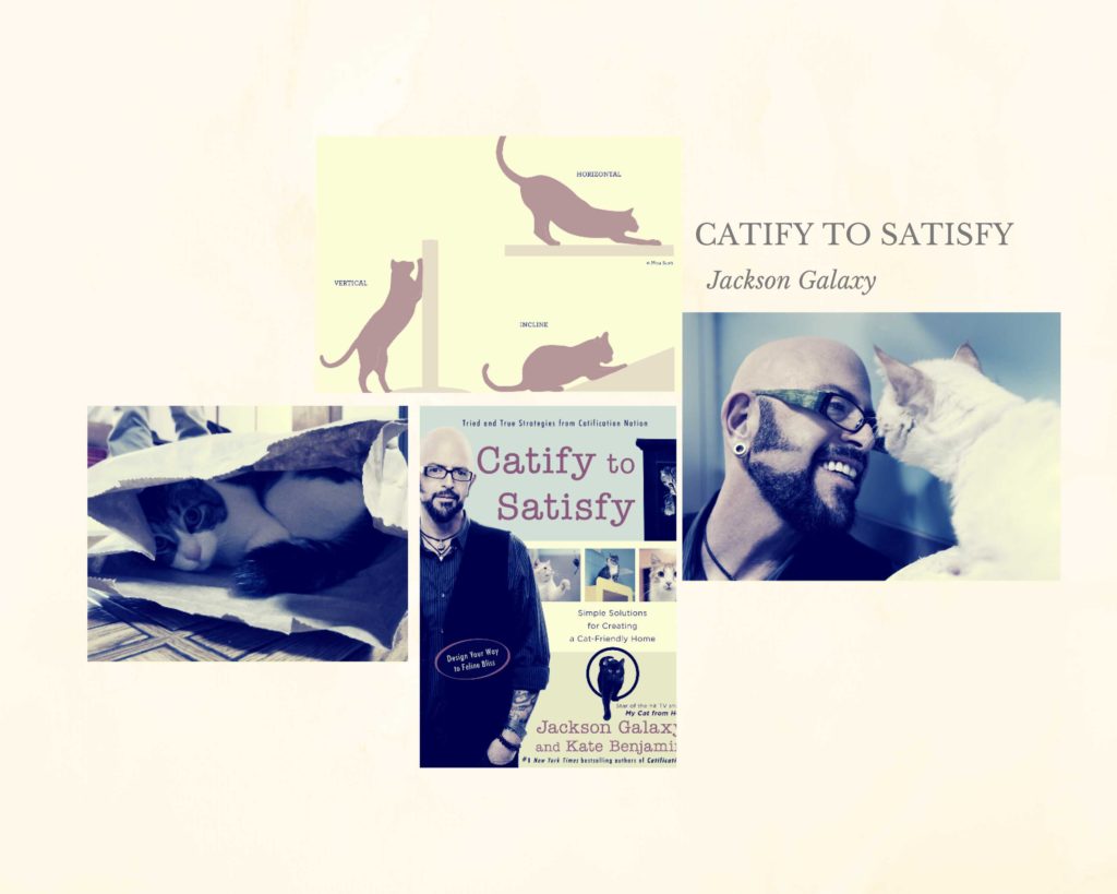 A book titled Catify to Satisfy by famous cats' dad Jackson Galaxy 