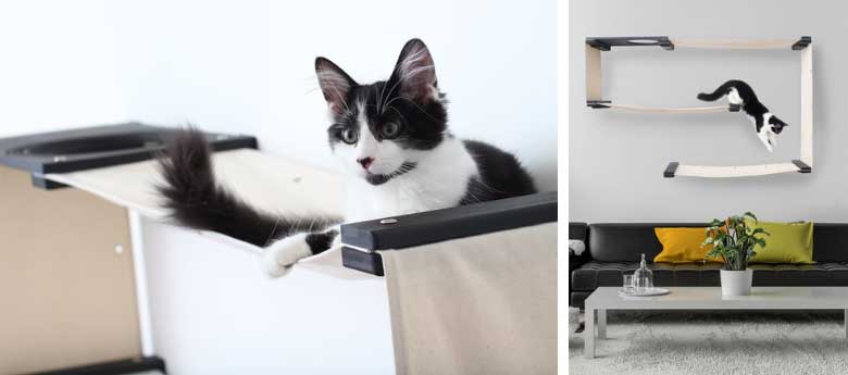 a white and black kitty is relaxing in cat wall hammock