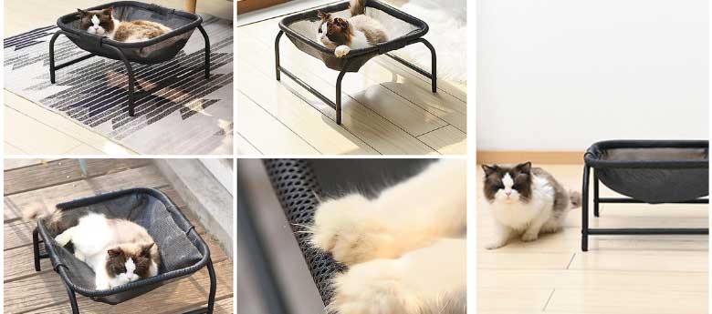 a white kitty is lying in the durable black cat hammock 