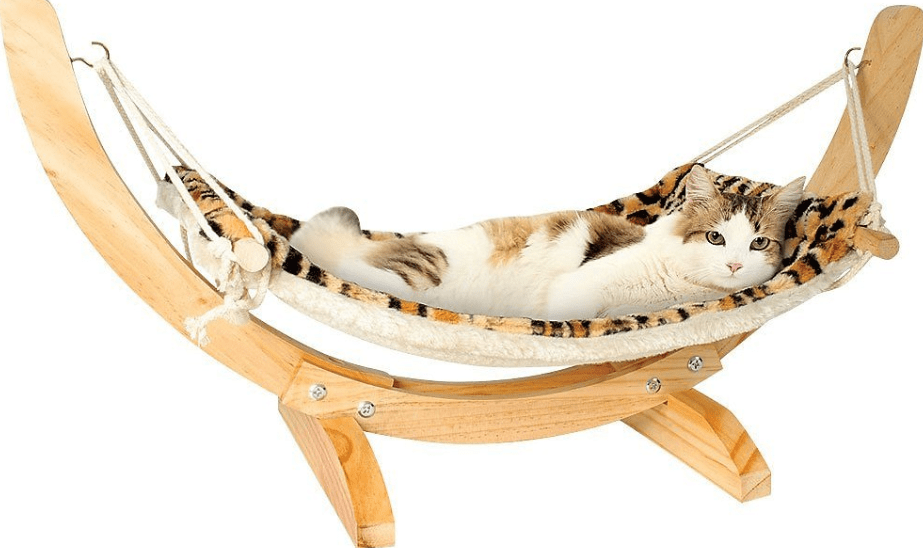 Cat hammocks what every owner should know meowpassion