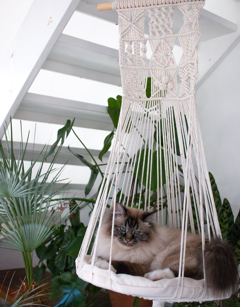 A Birman cat that is relaxing in white handmade hammock