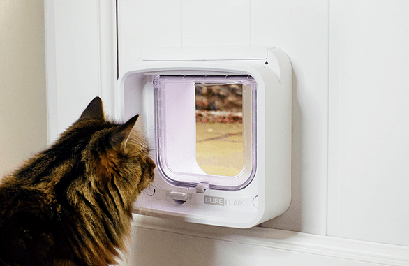 High tech door for cats to avoid intruders