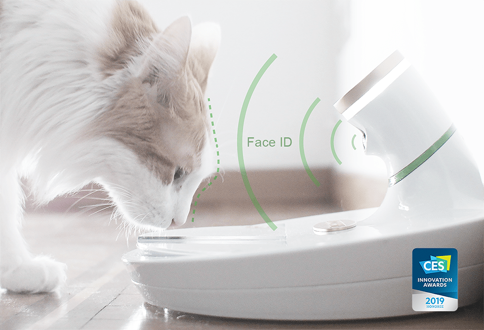 Mookkie high tech bowl of Italian design for cats 