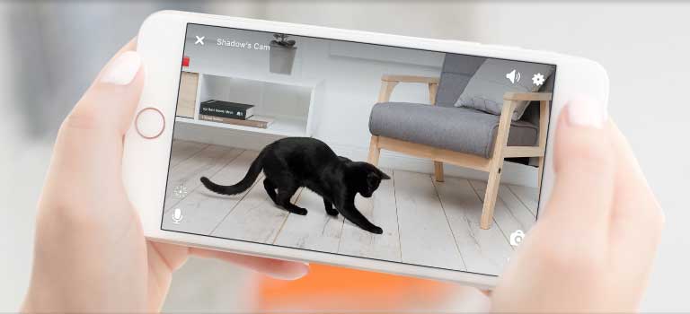 Pet cube camera for owners who want to talk or see their cats