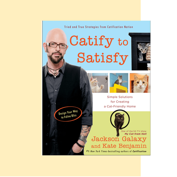 Catify to Satisfy - one of the best cat behavior books