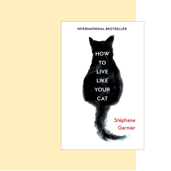 How to Live Like Your Cat is one of the best cat humor books 