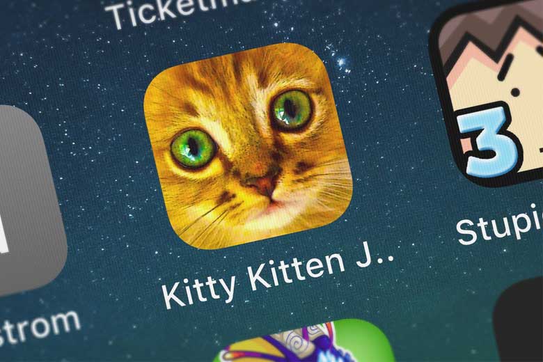 10 Must-Have Apps for Cats