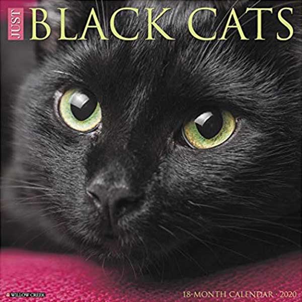 Just Black Cats 2020 Wall Calendar 