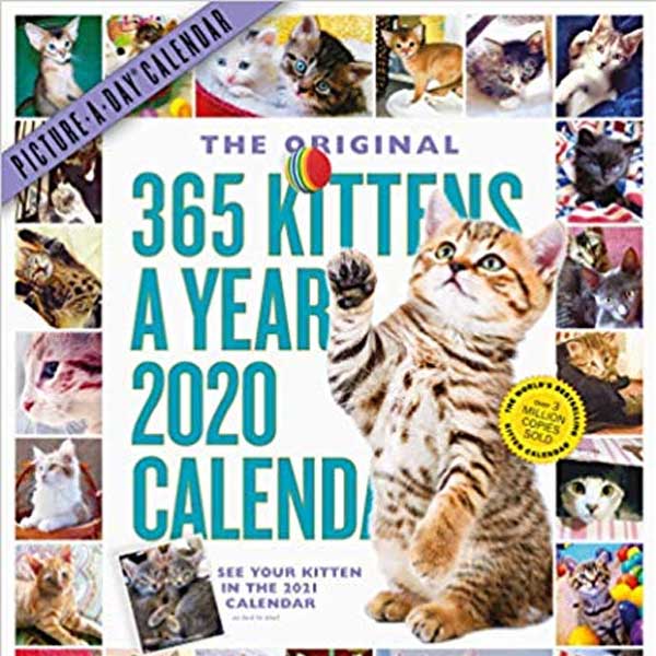 365 Kittens-A-Year Picture-A-Day Wall Calendar 2020