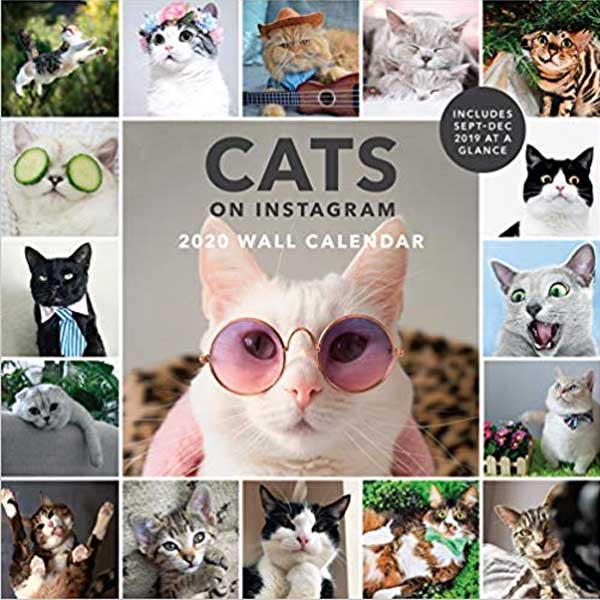 Cats on Instagram 2020 Wall Calendar