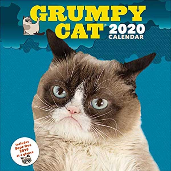 Grumpy cat calendars 2020 on Amazon