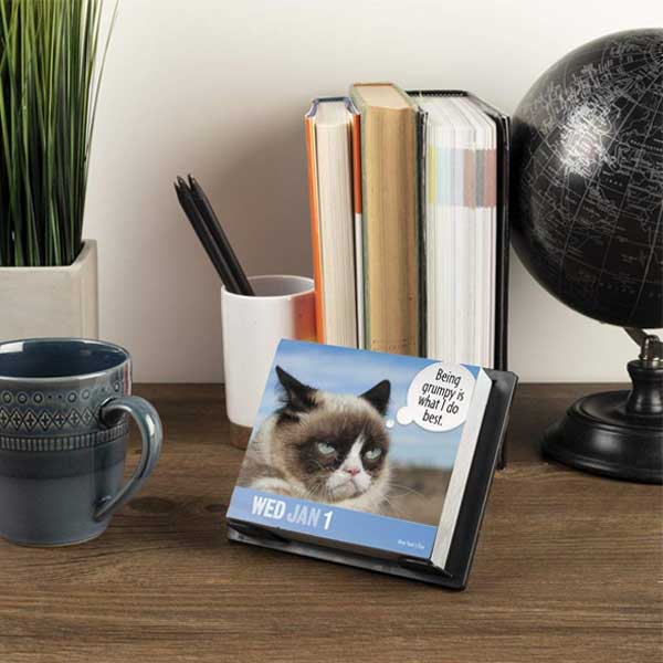 Cat Calendars 2020 | meowpassion