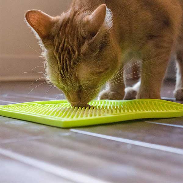A ginger cat who is eating from a licking mat by Hyper Pet