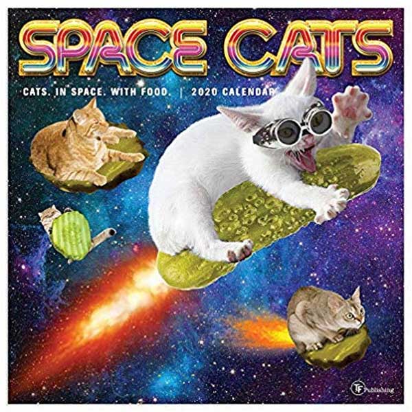 2020 Space Cats Wall Calendar