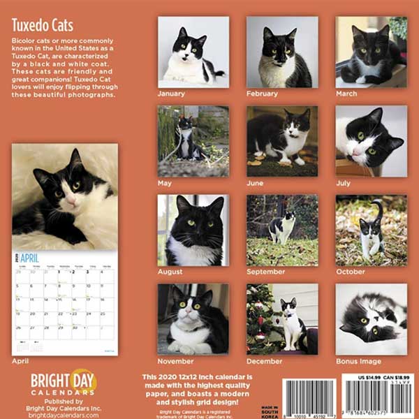 Tuxedo cat calendar 2020 by Bright Day Calendars