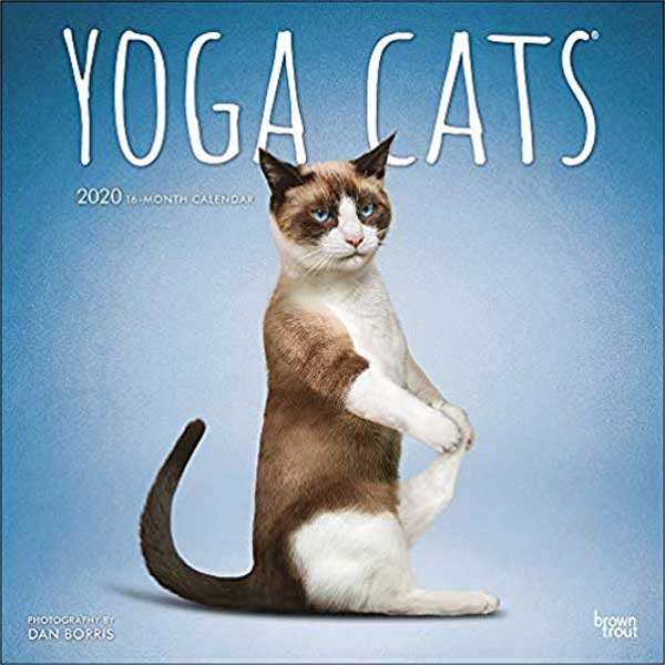 Yoga Cats 2020 12 x 12 Inch Monthly Square Wall Calendar