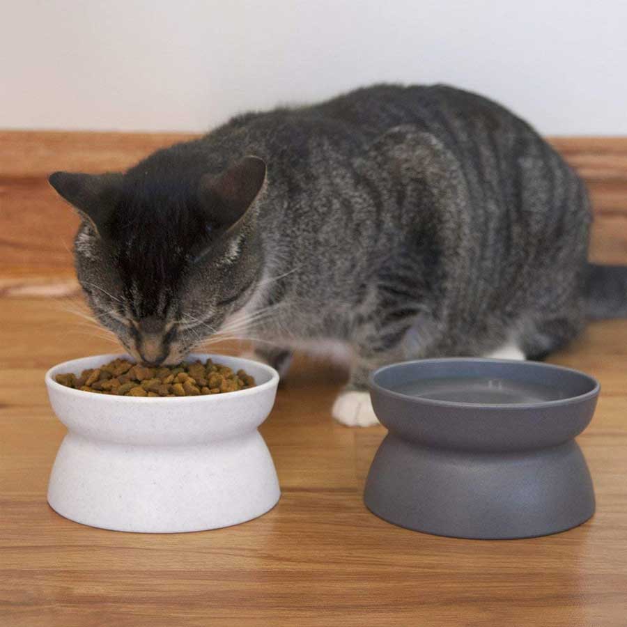 interactive cat bowl