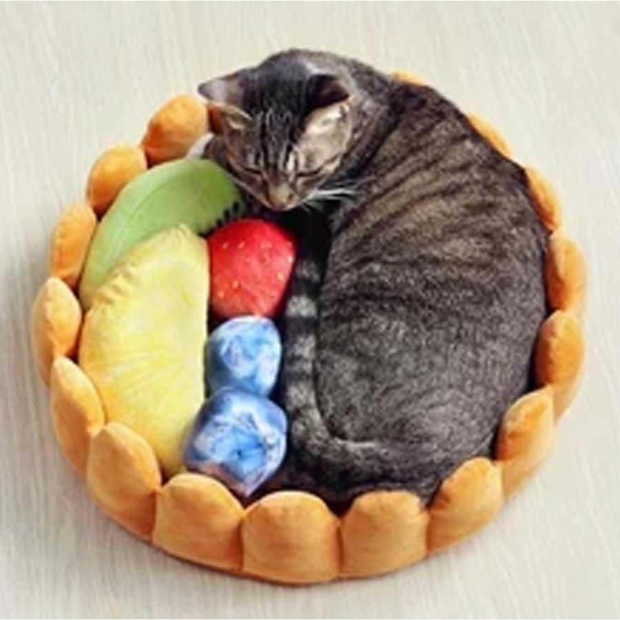 Fruit Tart Cat Bed