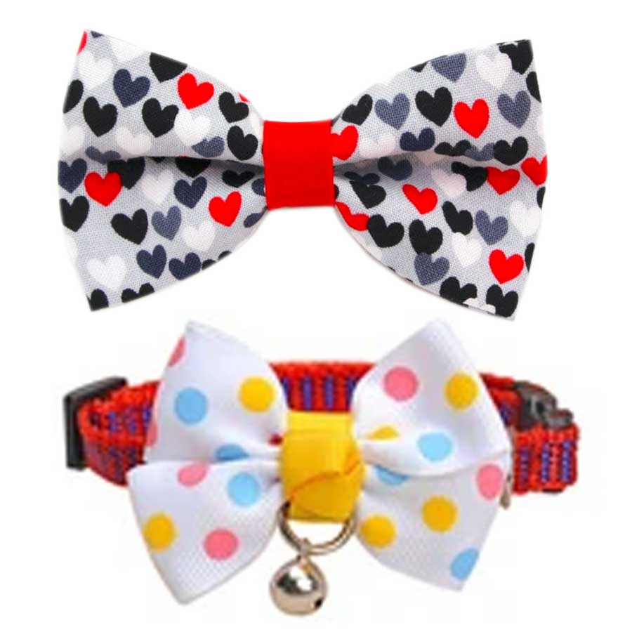 A fancy bow tie for cats