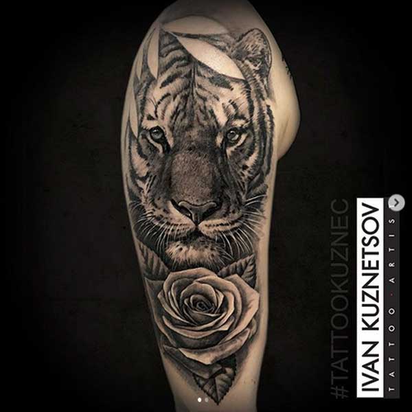 A wild cat with rose tattoo by Ivan Kuznetsov