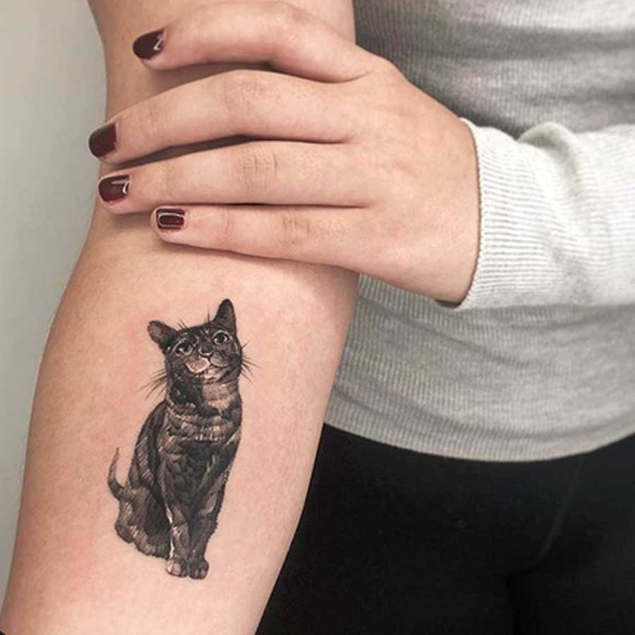 Microrealistic cat portrait tattoo on the tricep