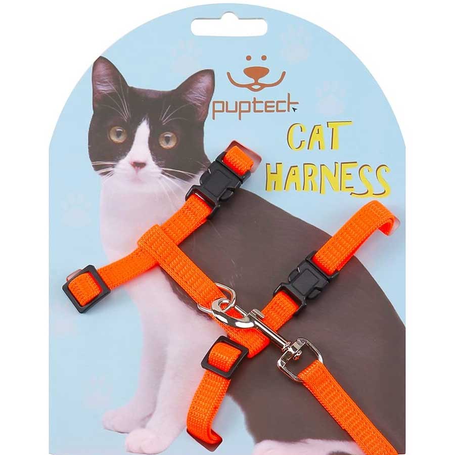 A Review of the Kitty Holster Harness: Secure on the Go - Cats