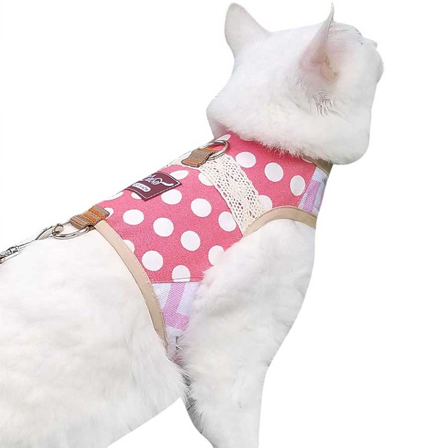 Cat harness jacket with leash on Amazon