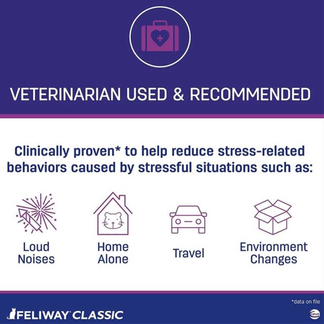 Feliway - Everything You Need For a Relaxed Cat