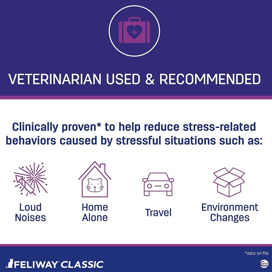 Feliway classic for cats - information about situations when Felliway works