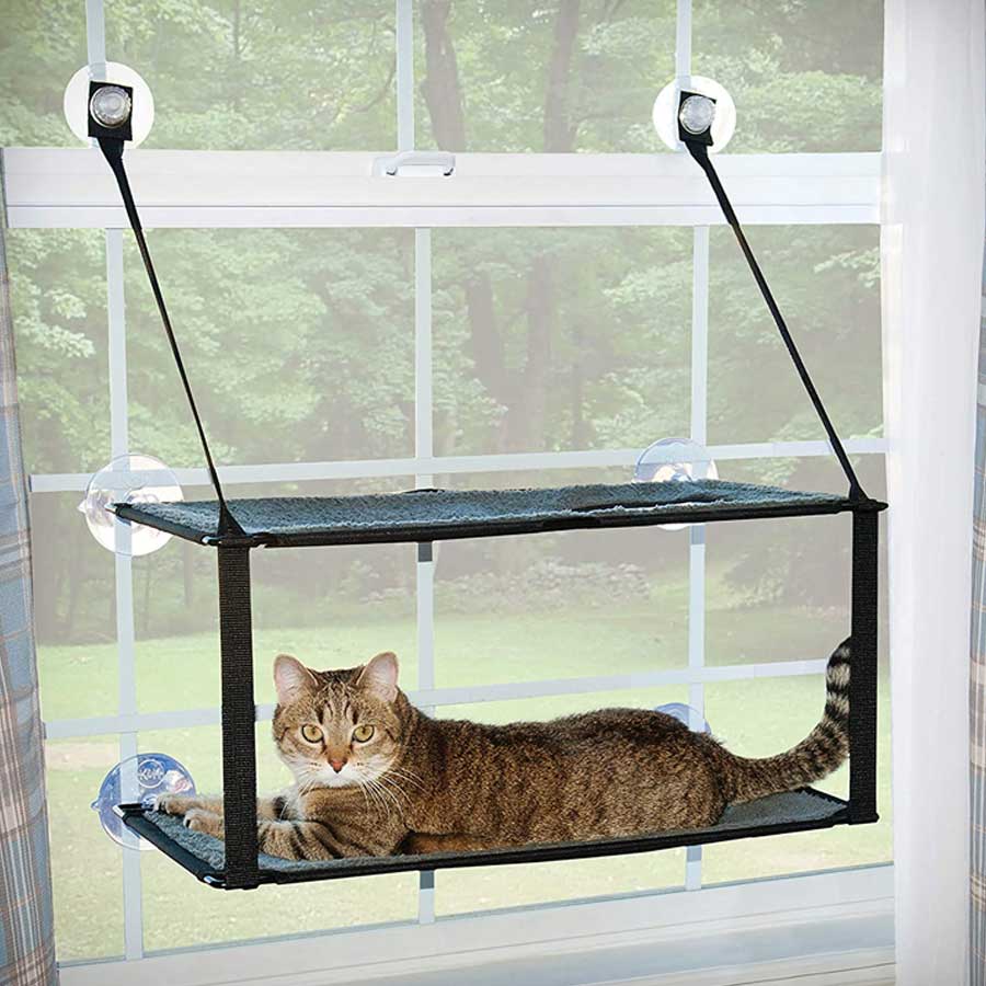 A cat who is lying on K&H EZ window mount kitty sill