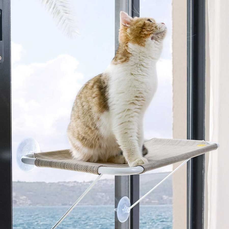 A white and ginger cat who is sitting on comfy cat window perch 