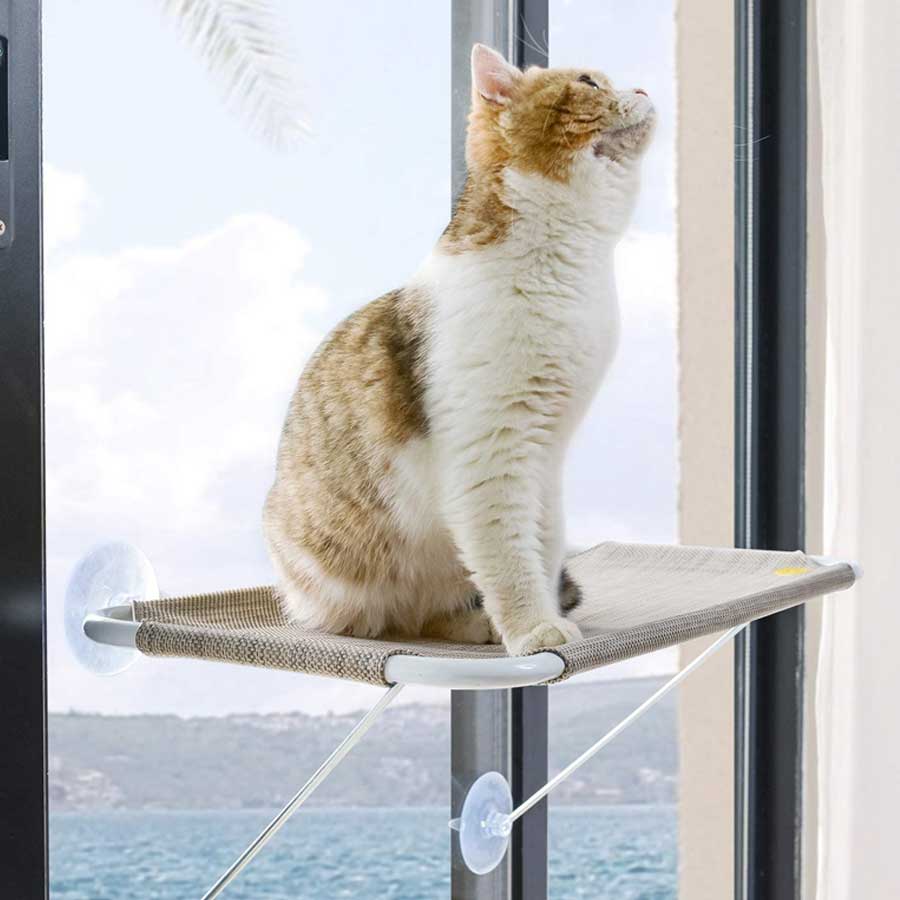 19 Best Cat Window Perches Meowpassion