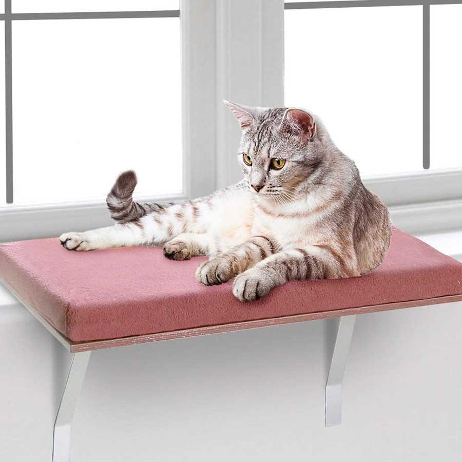 A cat relaxing on pink comfortable cat window perch