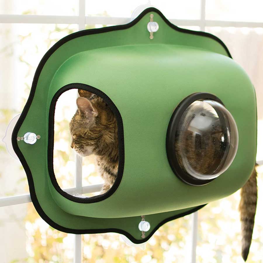 A green cat window bubble pod with a cat inside