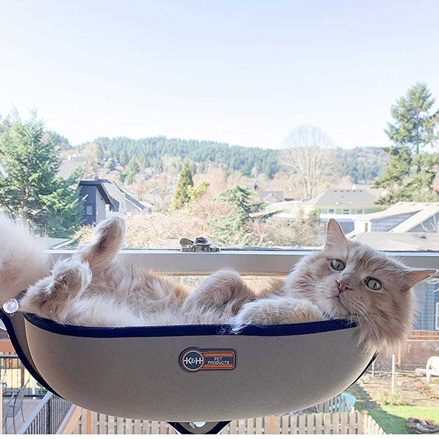 A ginger cat who is lying on cat window bed