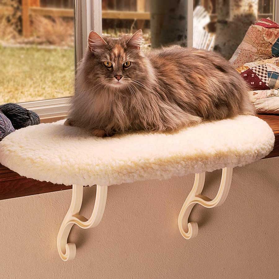 19 Best Cat Window Perches Meowpassion