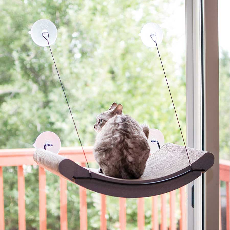 A cat sitting on the window scratcher and observing surroundings