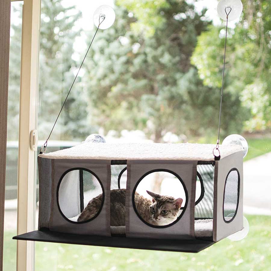 A kitty is relaxing in luxurious cat window perch 