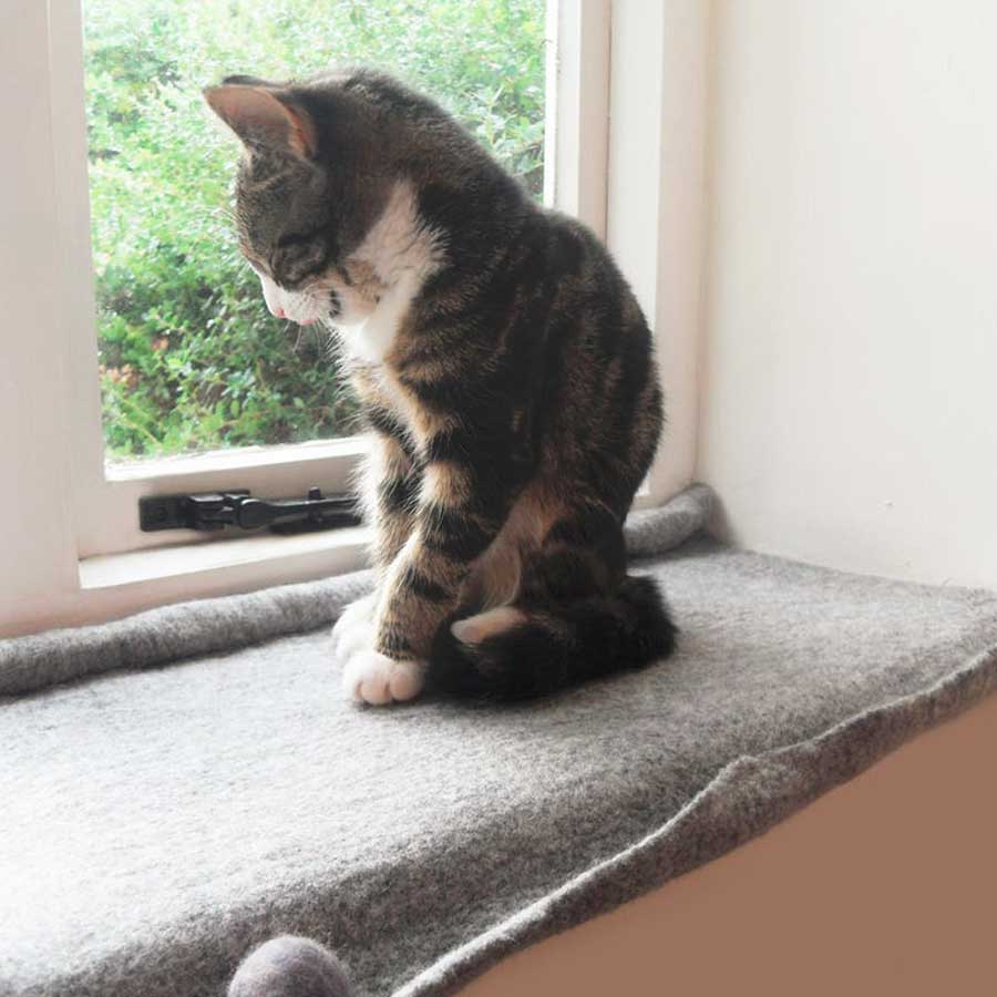 A cat is sitting on warm cat mat created by LoveCatCaves 