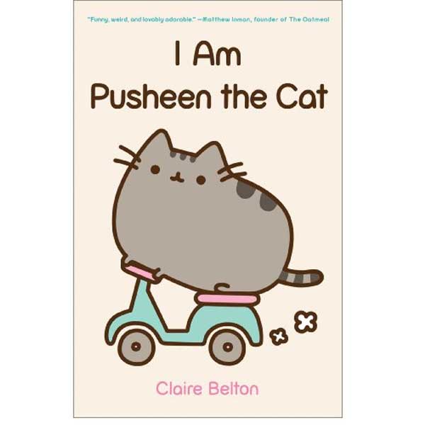 The illustration on Pusheen Cat