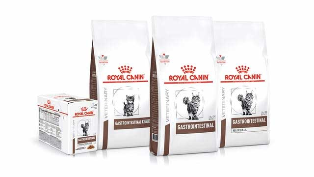 Dry and wet cat food for gastrointestinal problems by Royal Canin