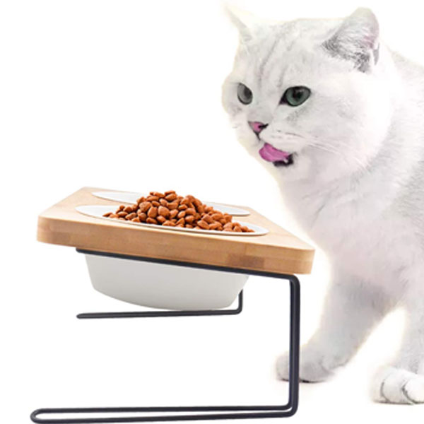 a white cat eating their food from elavated ceraminc bowls 