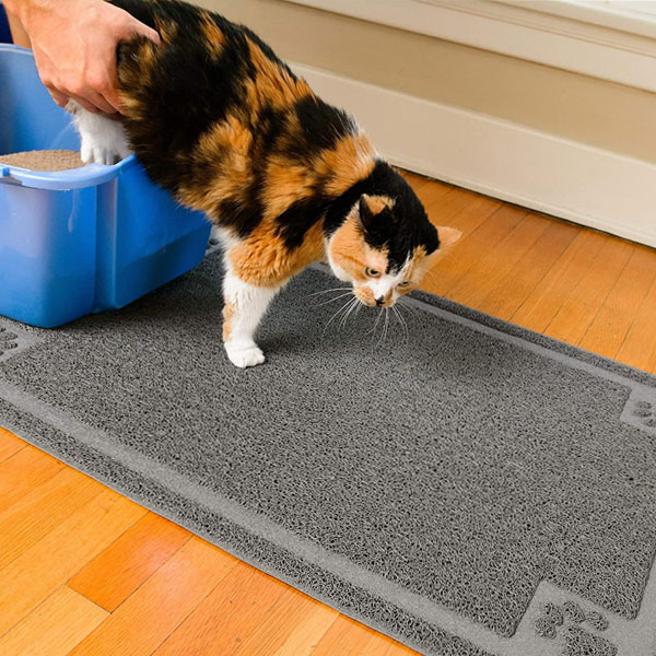 ginger, white and black cat is standing on cat litter mat manufactured by CleanHouse