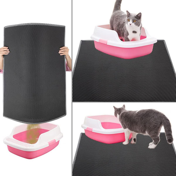 A grey and white kitty who is standing on grey cat litter mat 