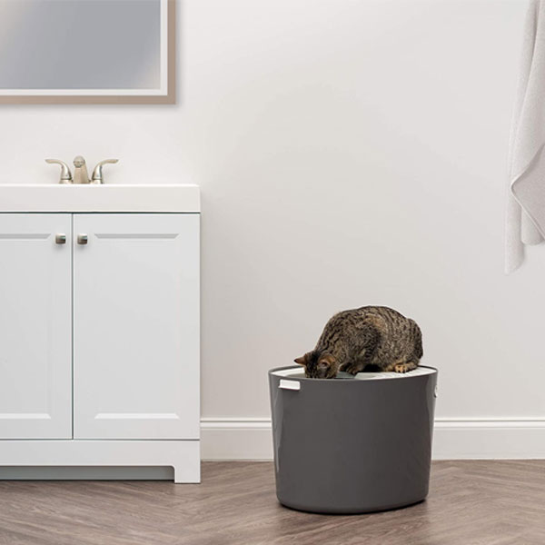 Grey cat litter box with a cat sitting at the top in a bathroom 