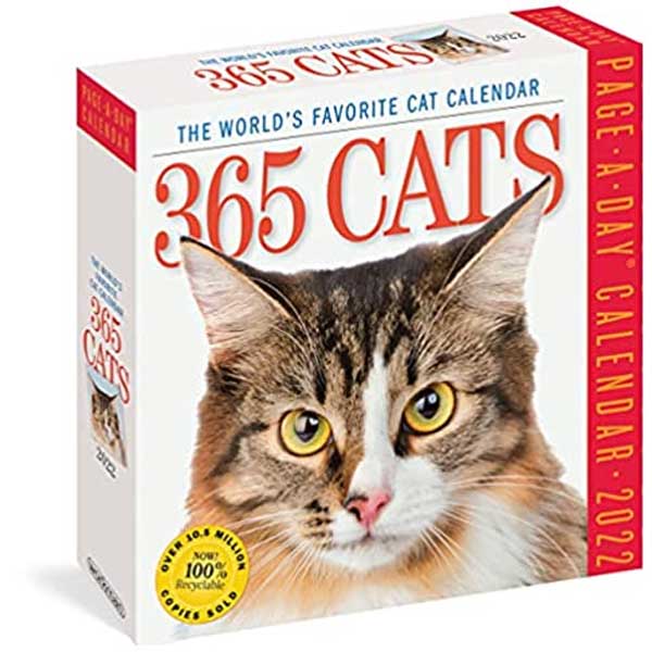 6x9cm 2019 Pocket Calendars Cats 3 pcs 2.3x3.5" 